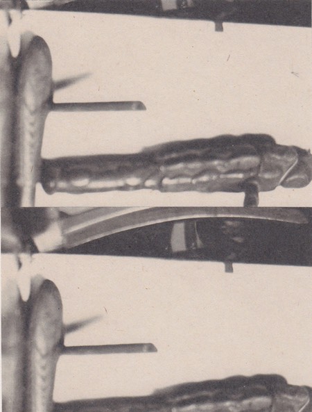 052